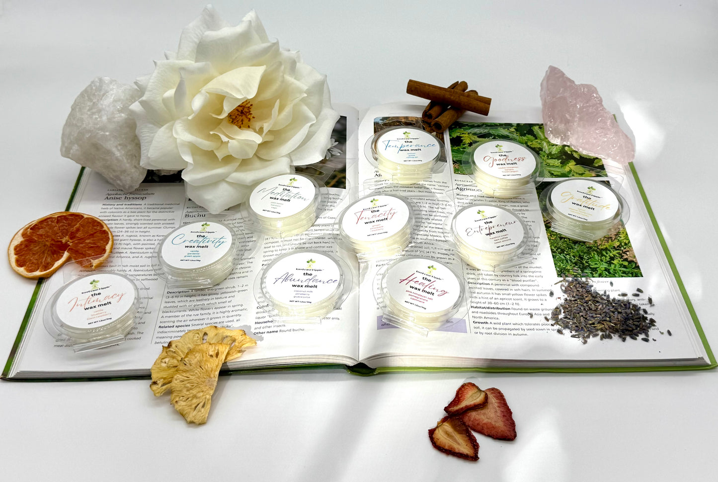 Open book with various items including flowers, crystals, dried fruits, cinnamon sticks, and 10 mini waxmelts on a white background with sunrays peeking through.