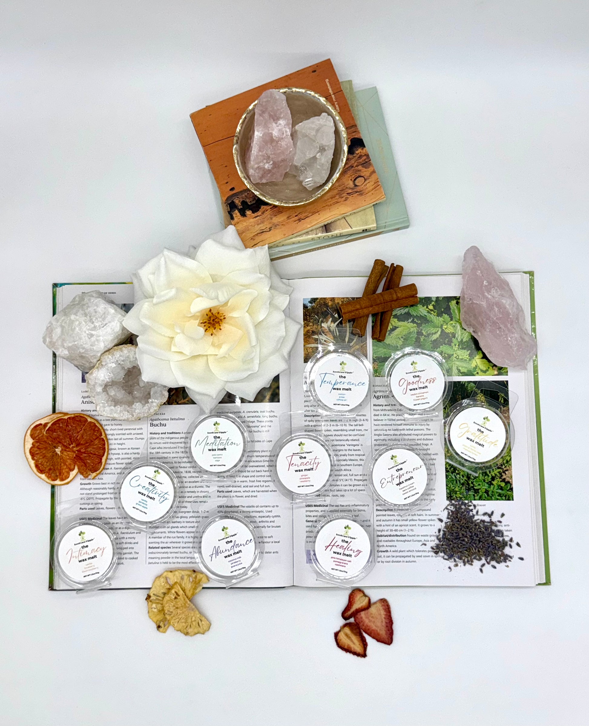 Open book with various items including flowers, crystals, dried fruits, cinnamon sticks, and 10 mini waxmelts on a white background. 