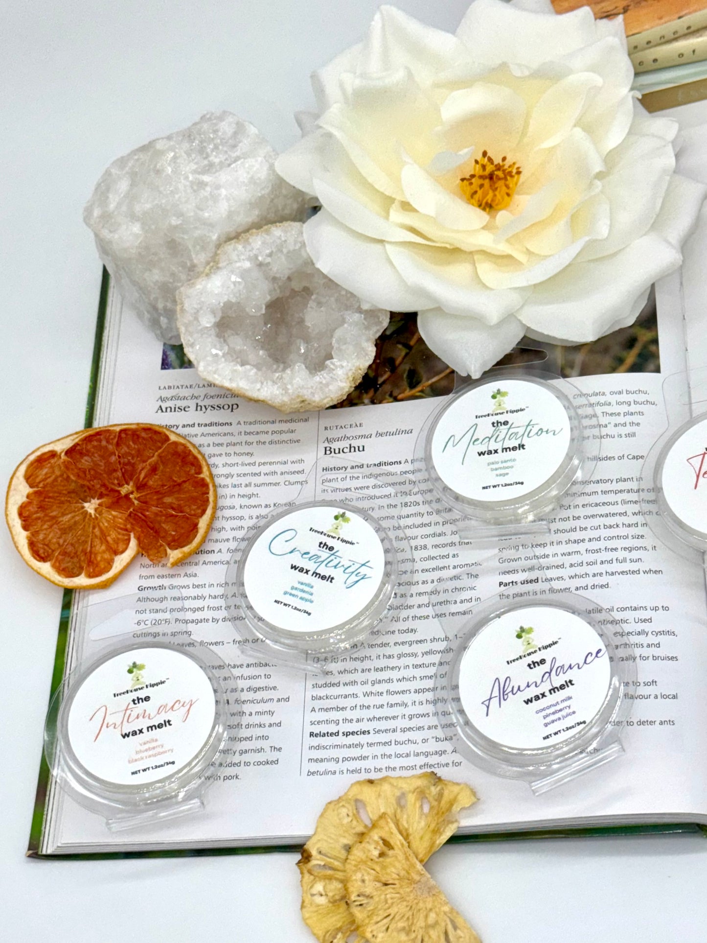 Open book with various items including flowers, crystals, dried fruits, and 4 small wax melt containers on a white background. 