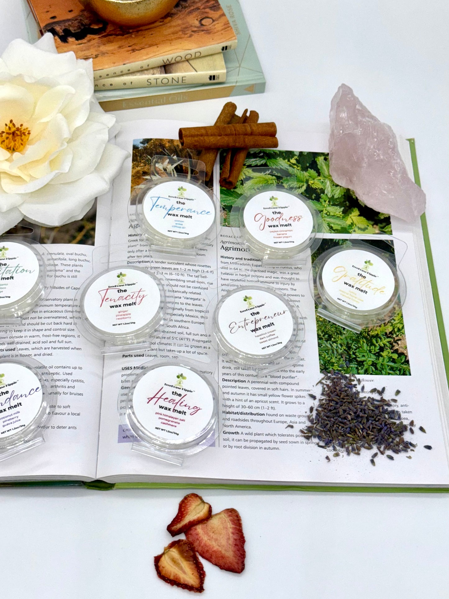Open book with various items including flowers, crystals, dried fruits, cinnamon sticks, and several miniature waxmelts on a white background. 