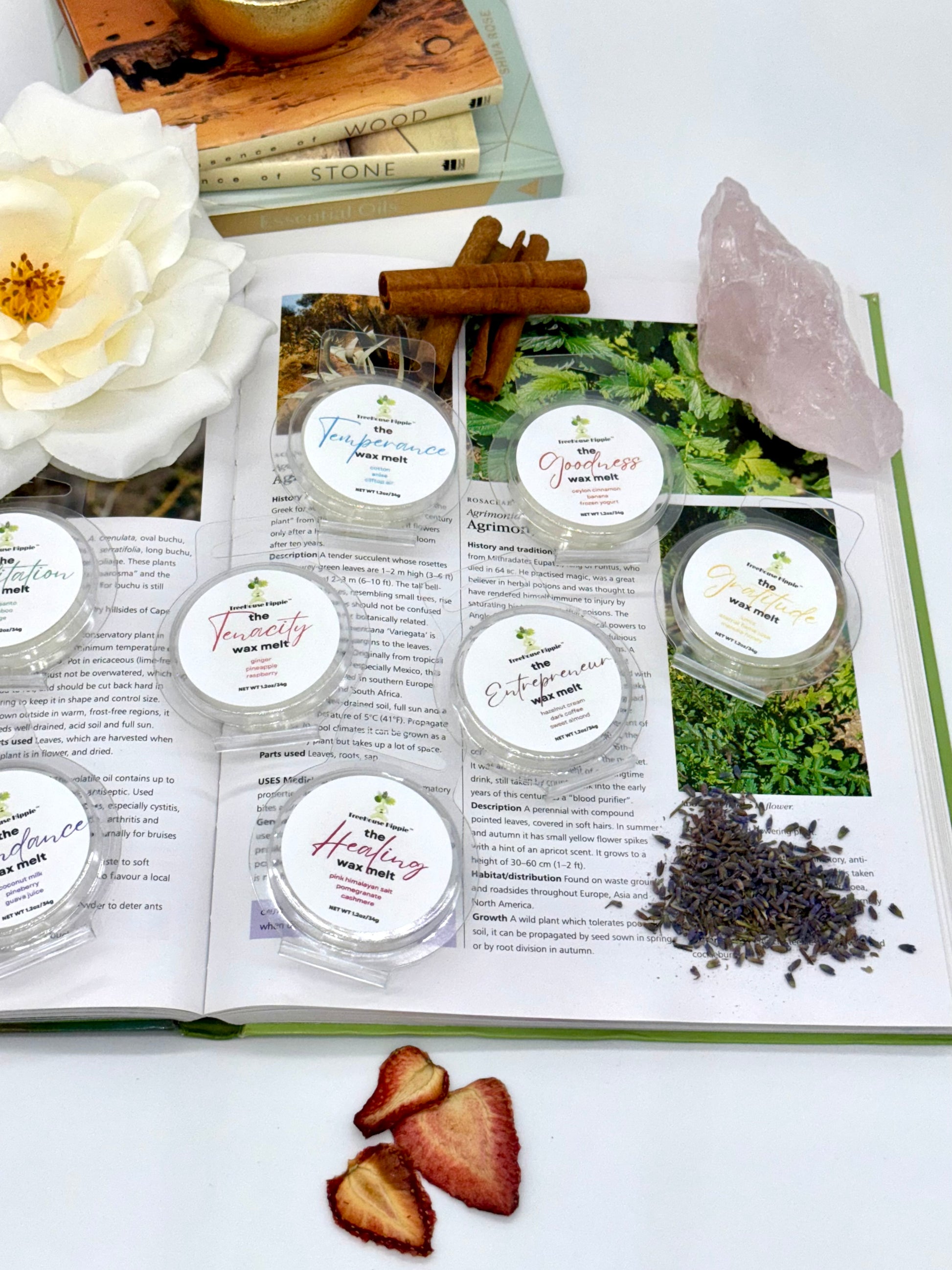 Open book with various items including flowers, crystals, dried fruits, cinnamon sticks, and several miniature waxmelts on a white background. 