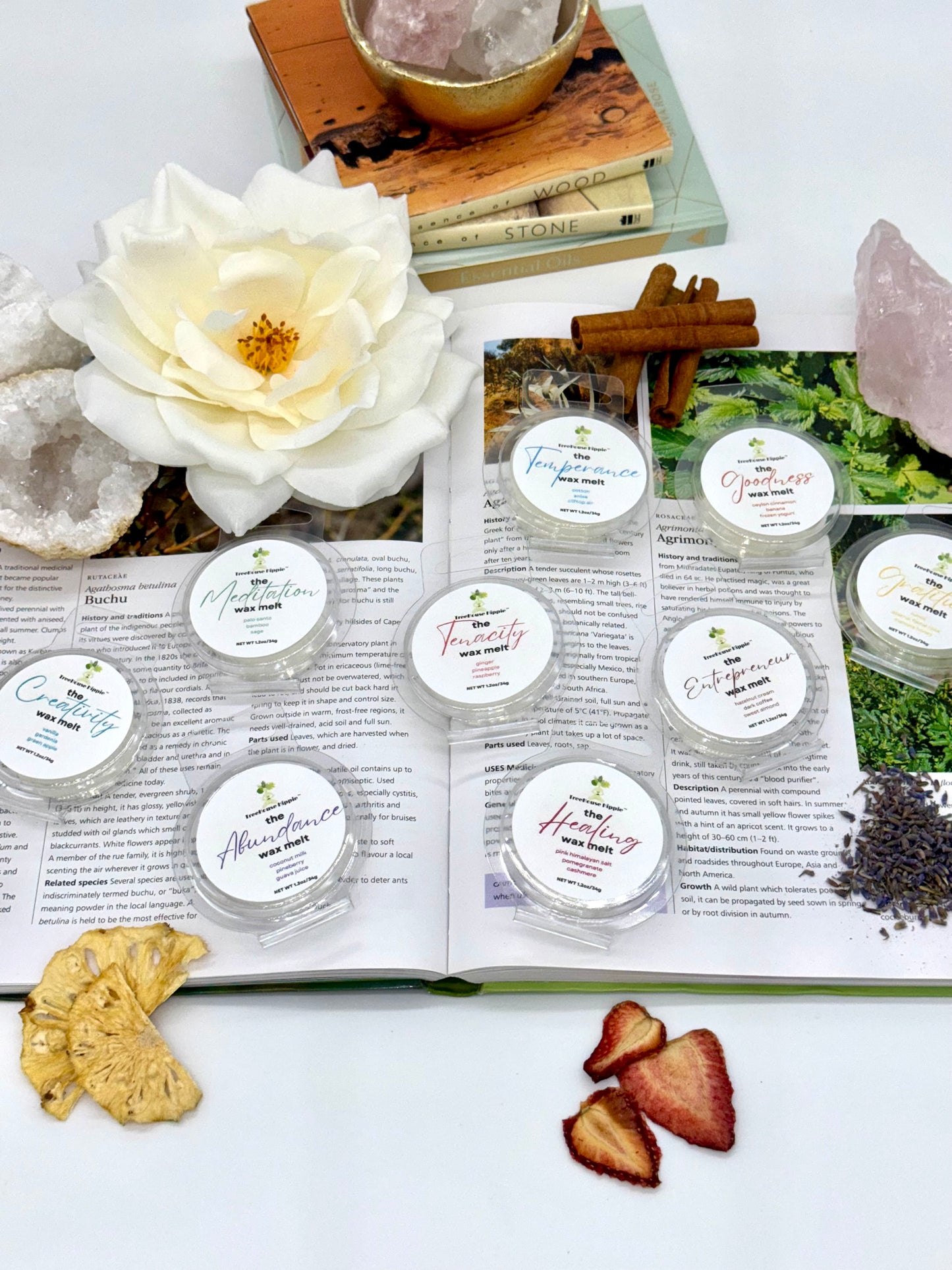 Open book with various items including flowers, crystals, dried fruits, cinnamon sticks, and 9 mini waxmelts on a white background. 