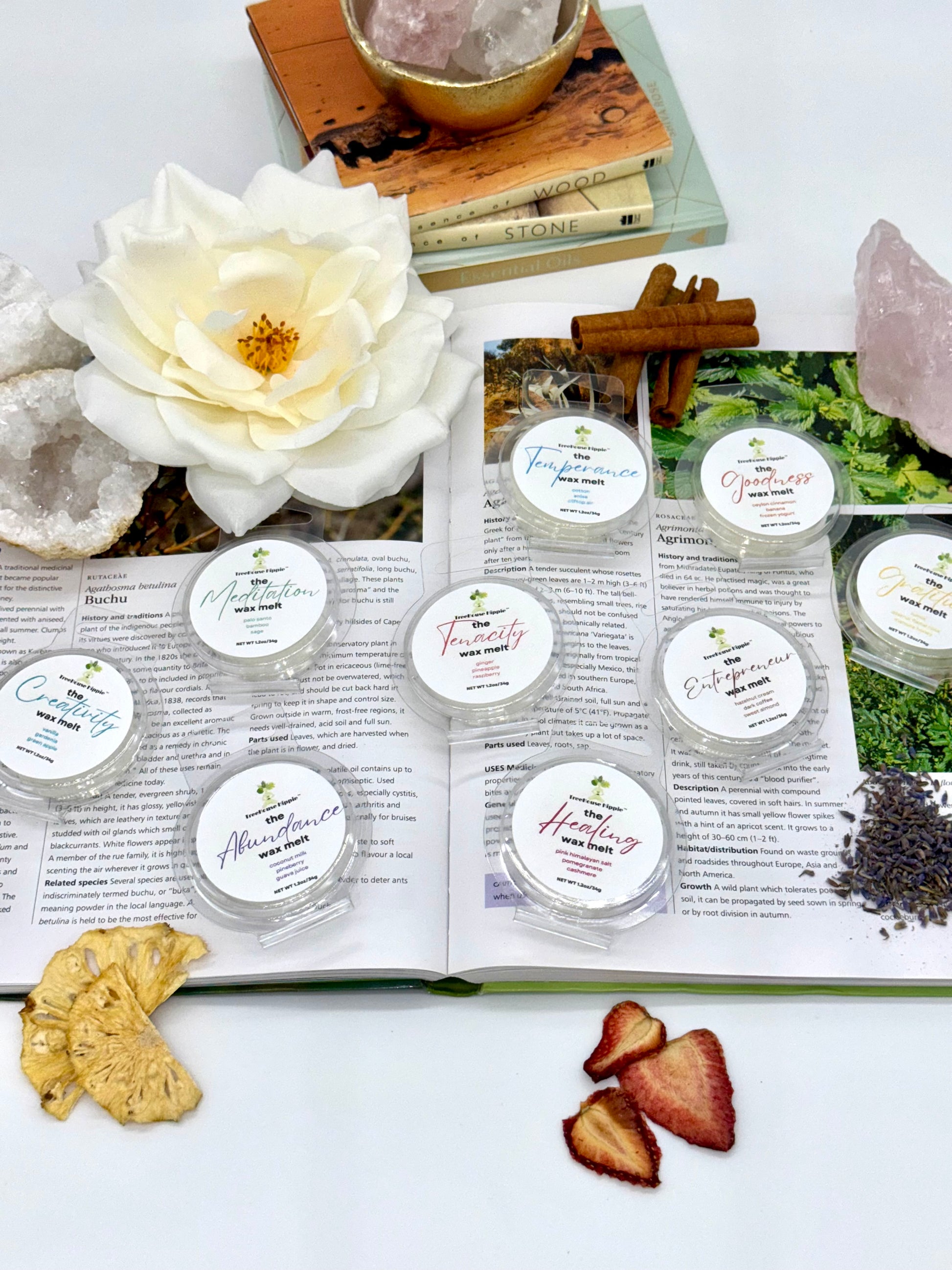 Open book with various items including flowers, crystals, dried fruits, cinnamon sticks, and 9 mini waxmelts on a white background. 